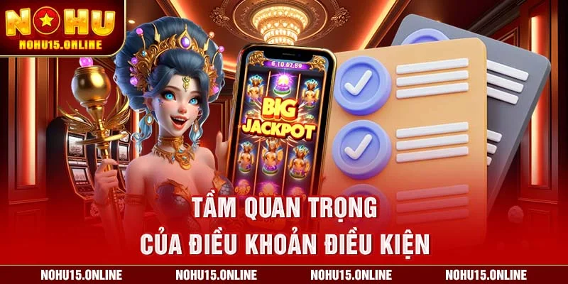 Điều khoản điều kiện khi tham gia giải trí tại Nohu