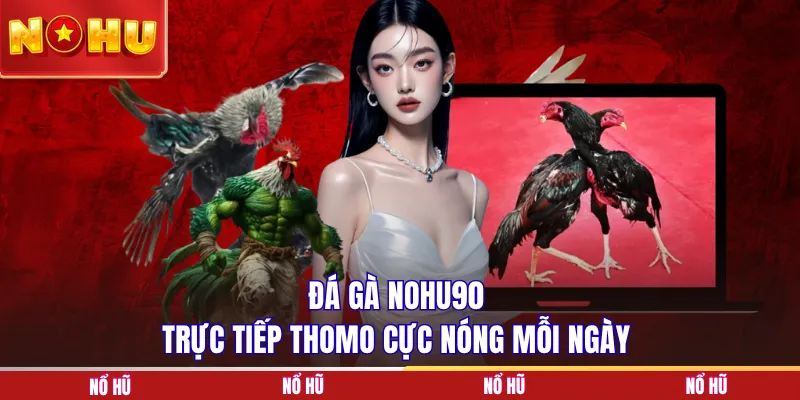 Đá gà NOHU90 trực tiếp Thomo cực nóng mỗi ngày